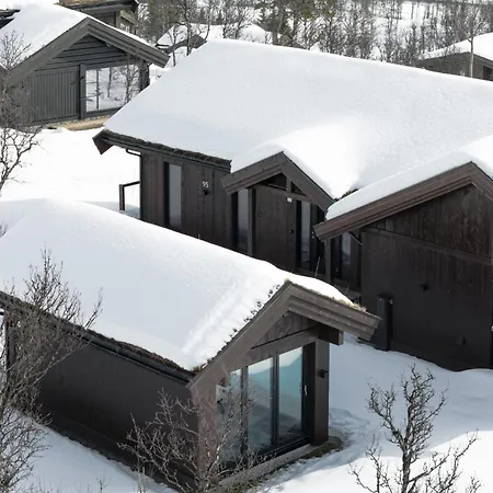 Exclusive And Spacious In Kikut, Geilo Feriehus *